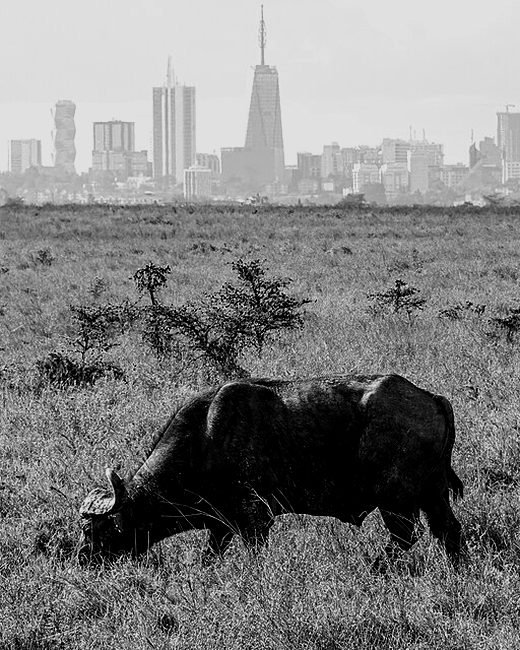 Nairobi, Kenya